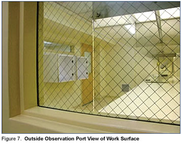 Figure 7: Outside Observation Port View of Work Surface